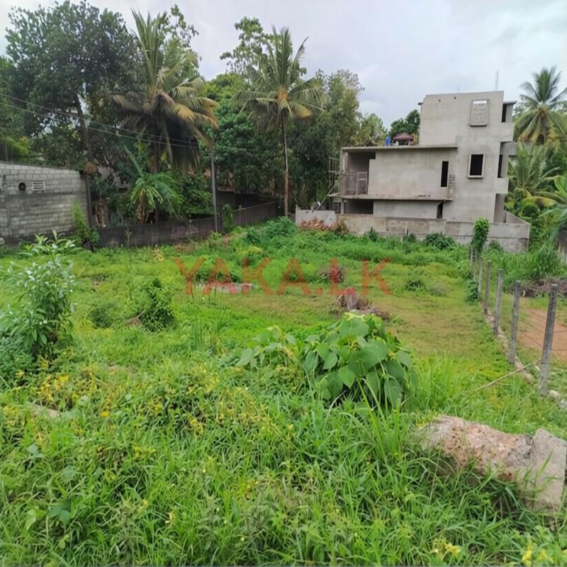Land for Sale – Thalawathugoda (Kalalgoda | Weeramawatha Road Frontage)