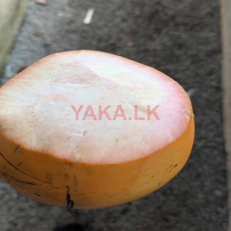 King Coconut
