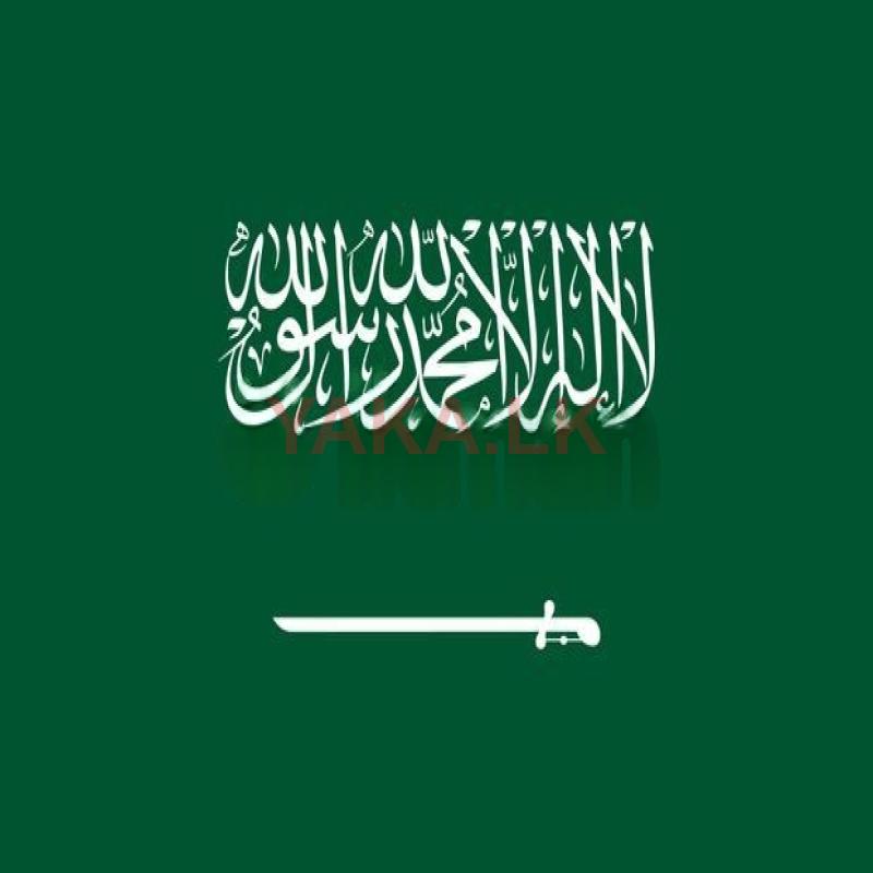 Saudi Business Visit Visa