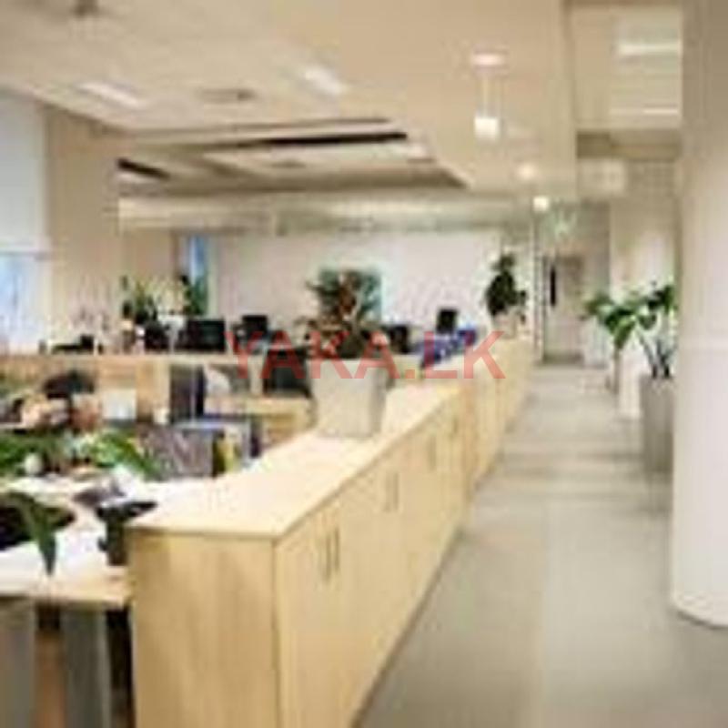 Phone Operator ( Call Center )