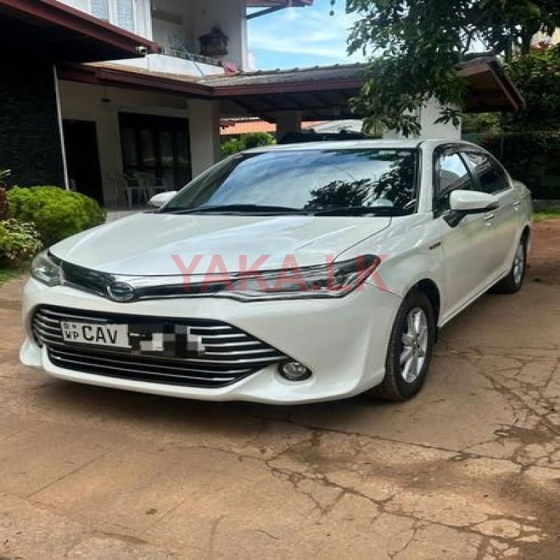 Toyota Axio - Rent