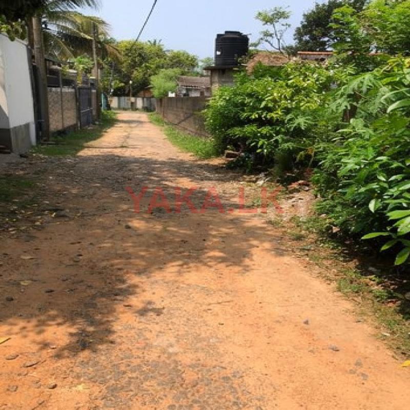 Land for Sale in Panadhura