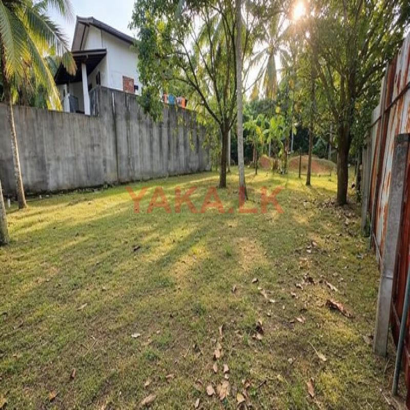 kiribathgoda Best land for living or investment