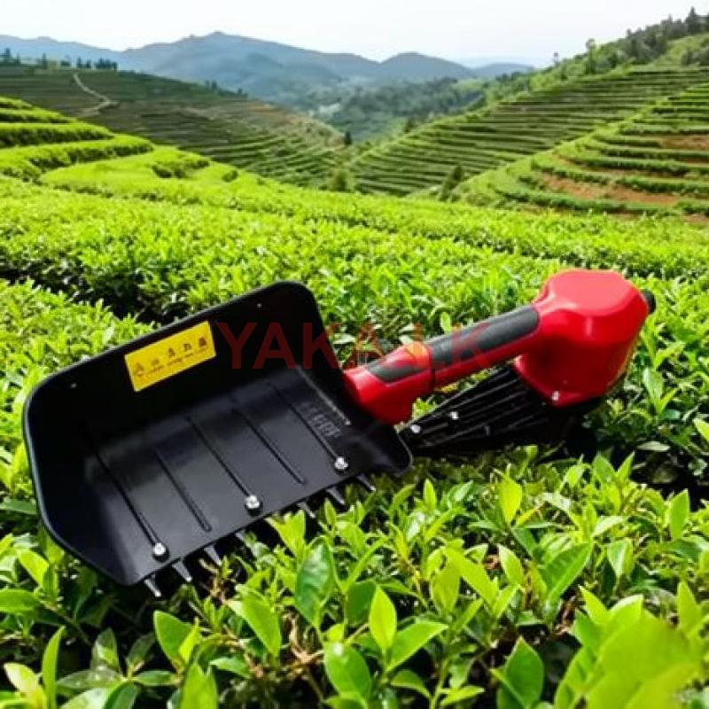 Tea Picking Machine ( U.T.C Brand)