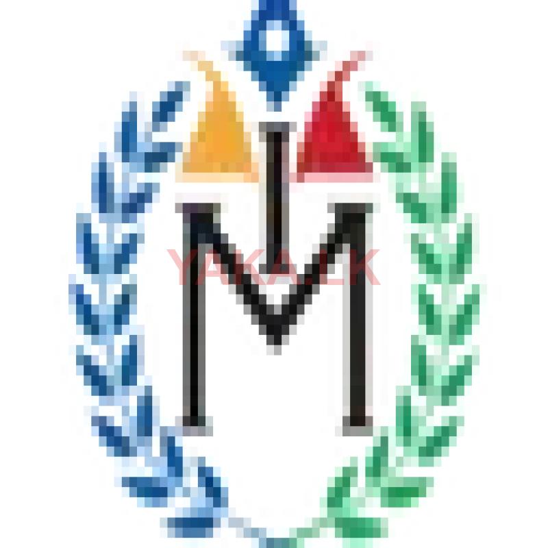 Light vehicle Driver