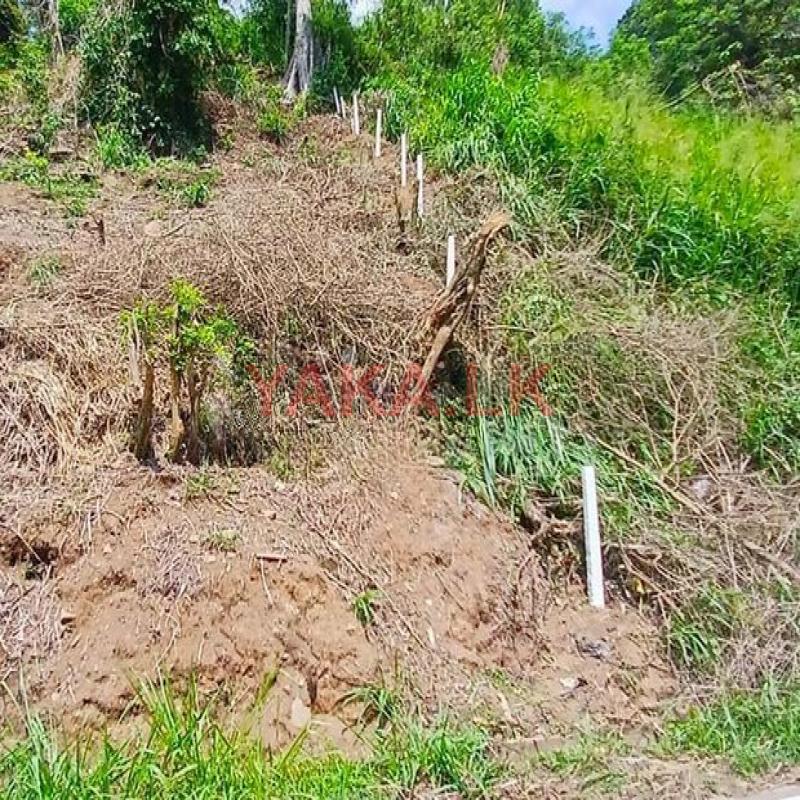 Valuable Commercial Land for Sale in Pilimathalawa