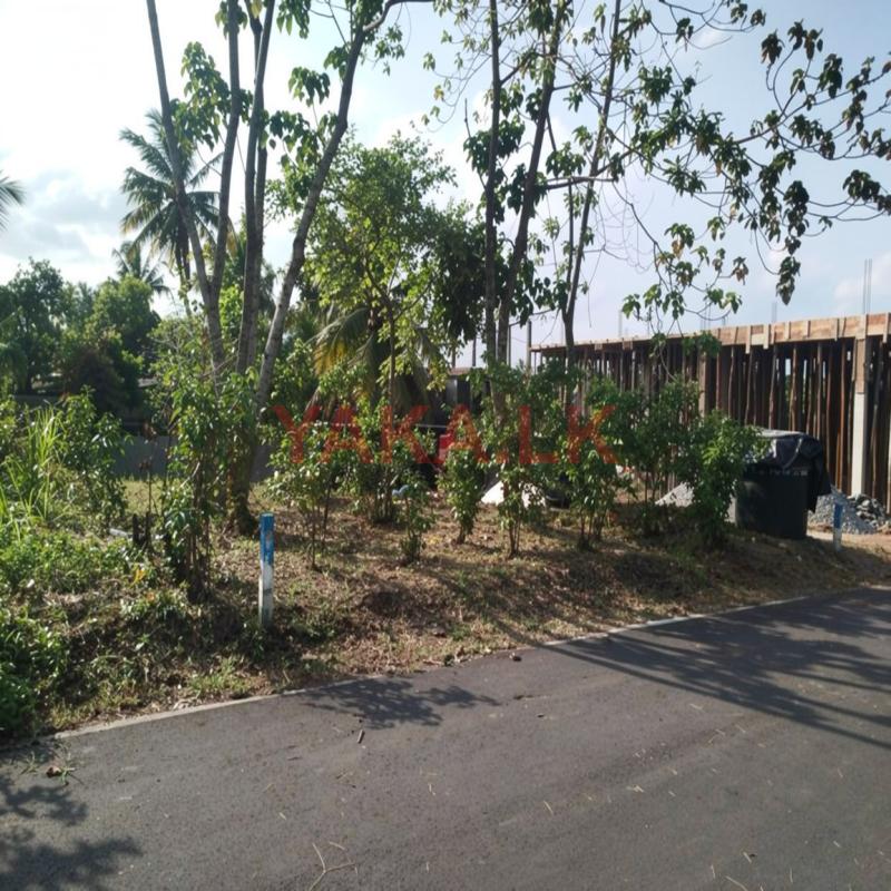 පිලියන්දල කොටගෙදර හන්දියට ආසන්නව බිම් කොටසක් විකිණීමට ..