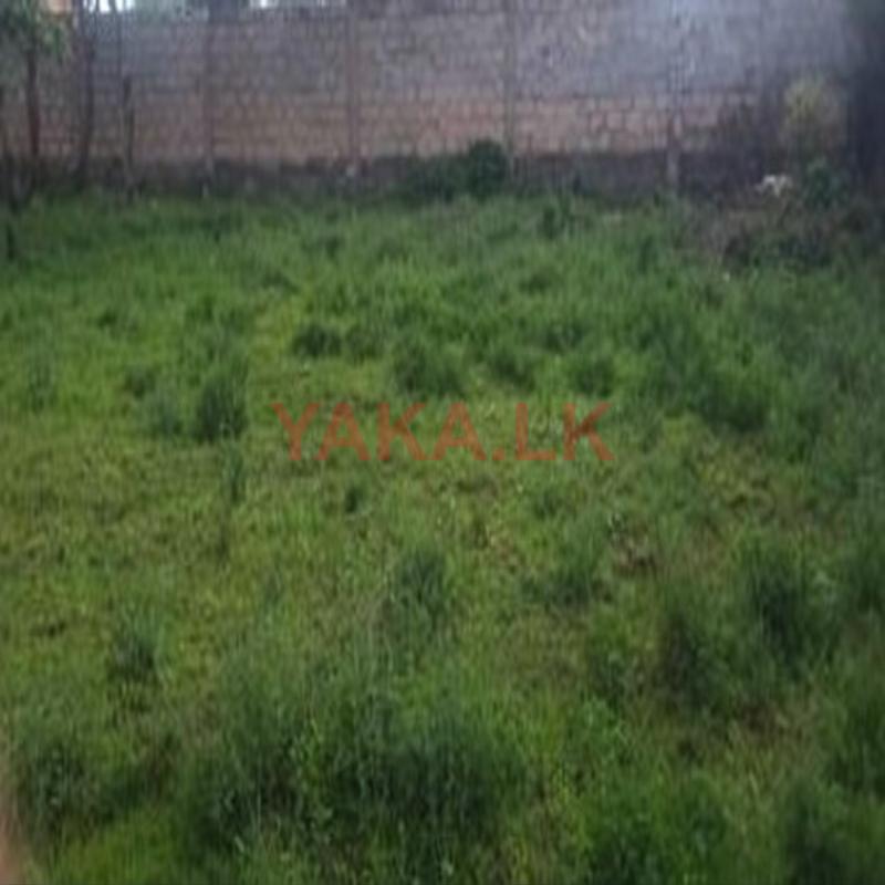 Land for Sale in Colombo 05 – 12 Perches