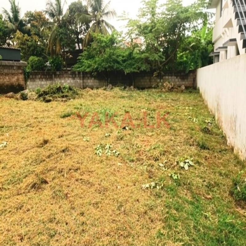 Prime Residential Land for Sale in Colombo 05 – Close to High Level Road
