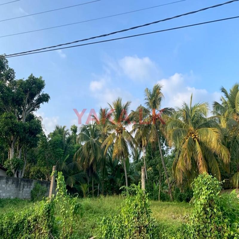Prime & Valuable Land for Sale in Galle – Milidduwa.