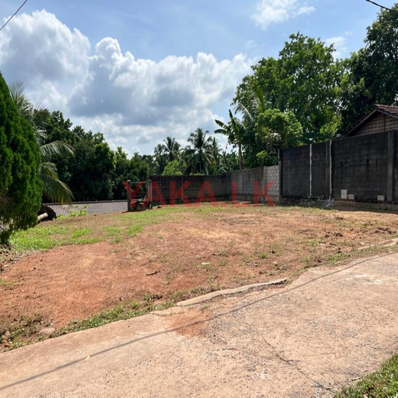 අගනා ඉඩමක් විකිණීමට මිනුවන්ගොඩ