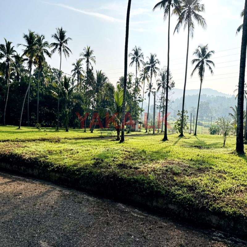 Mirigama Indiparape Land for Sale