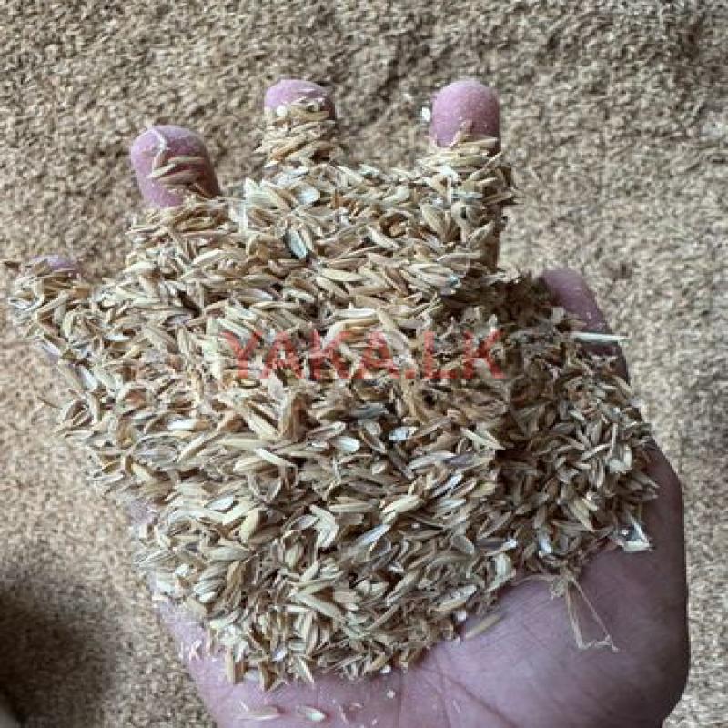 දහය්යා