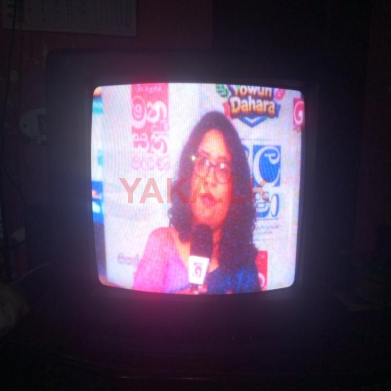 21 inch CRT TV