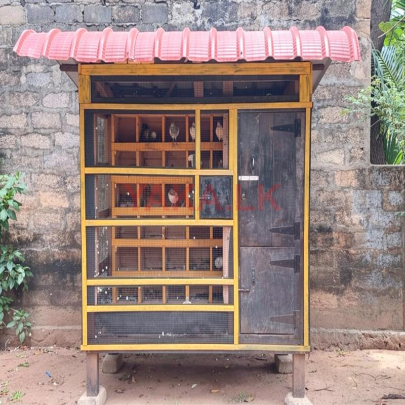 Pigeon Cage
