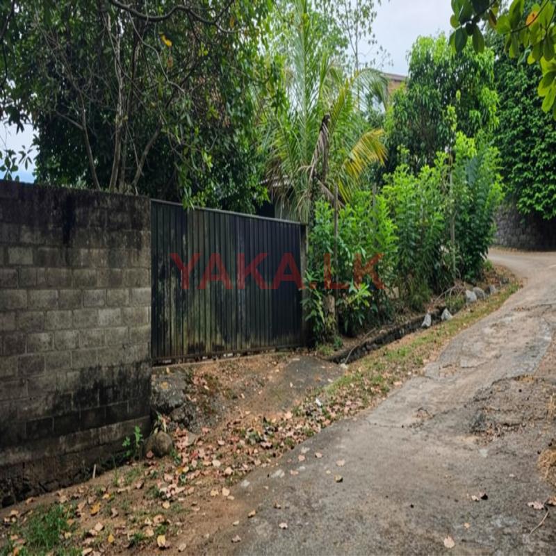 Land for Sale Wanchawala