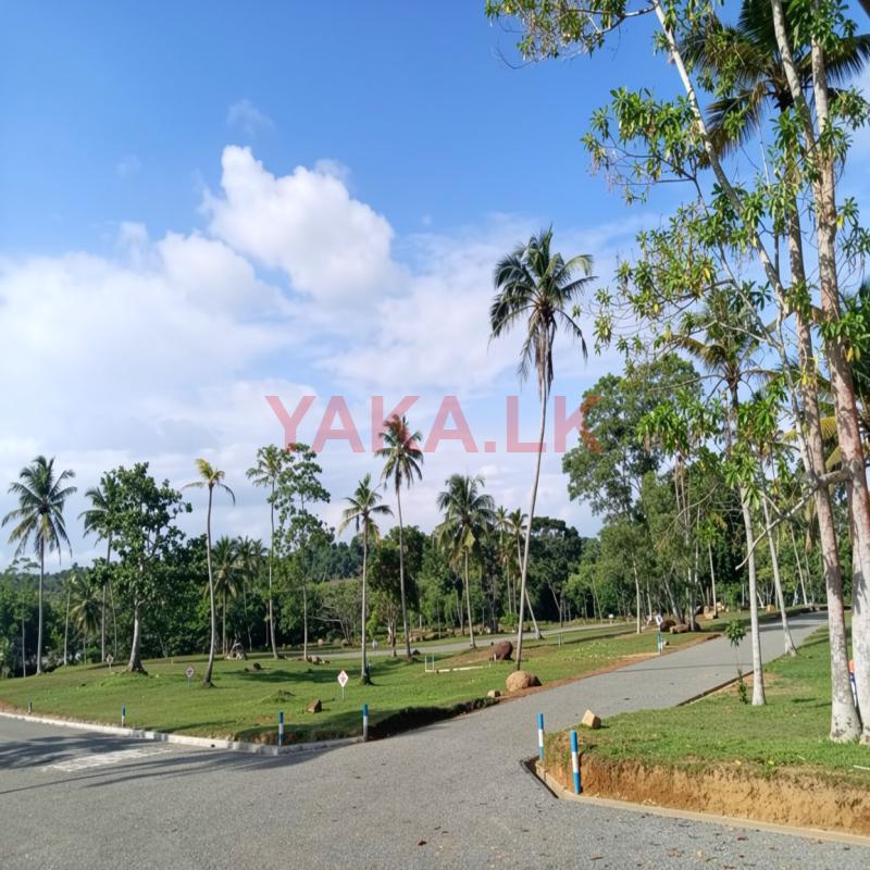 Land for sale in Hikkaduwa