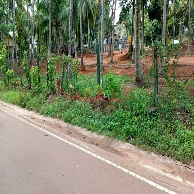 Kandana Town Luxury Land Plots for Sale Near Batagama
