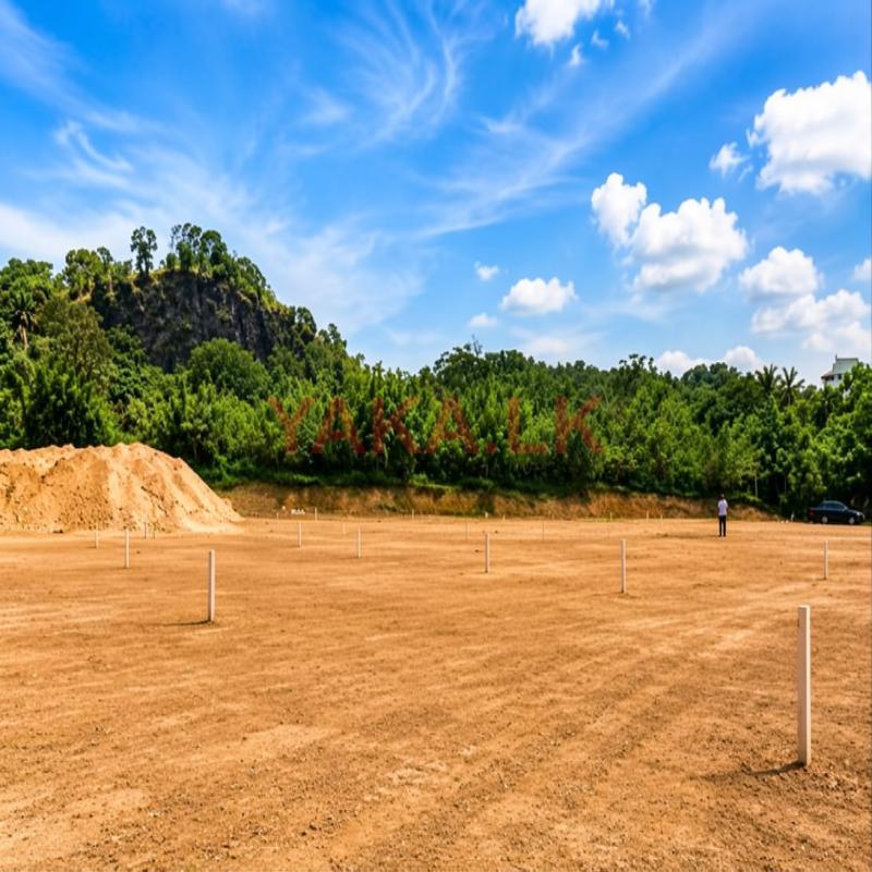 බිම් කොටසම ආටිගල