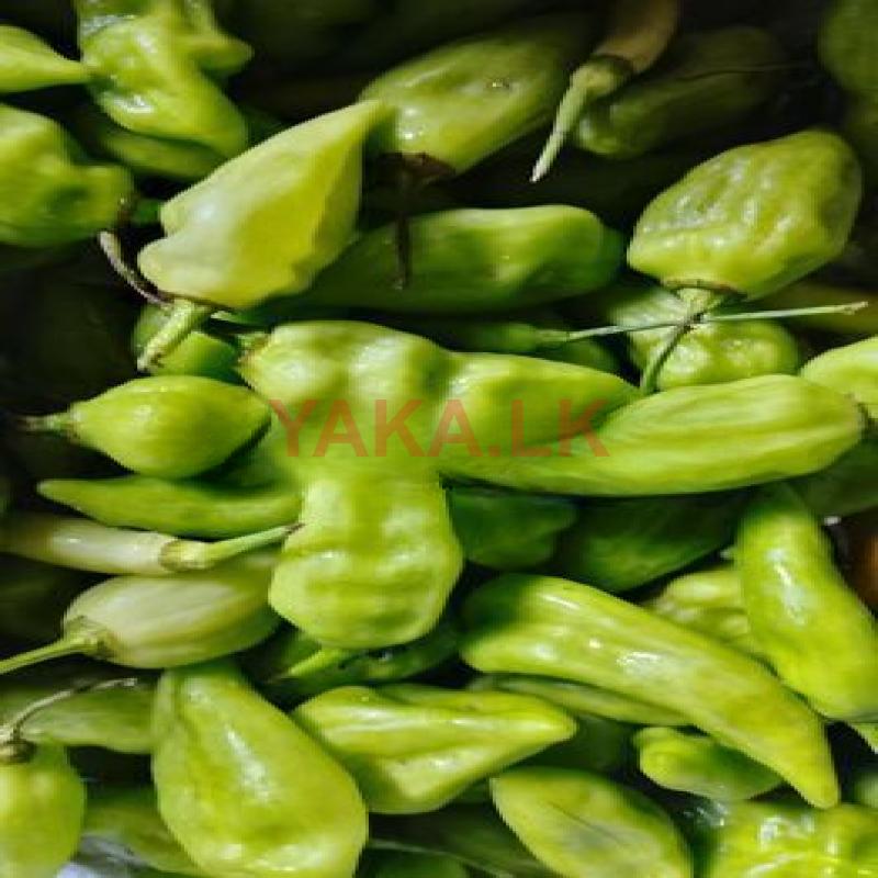 නැවුම් කොච්චි