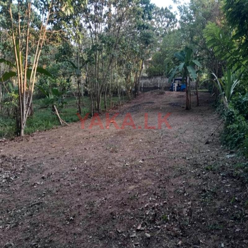 Land for sale in Kadawatha