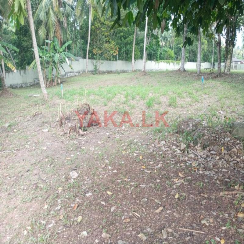 LAND FOR SALE FACING THE BOLGODA RIVER