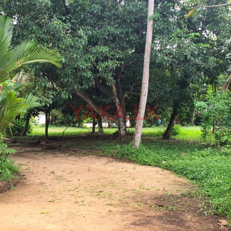 Prime Residential Land for Sale in Battaramulla City (SL 14647)