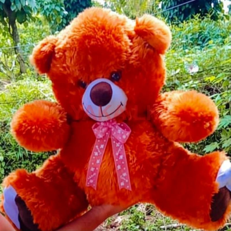 Teddy