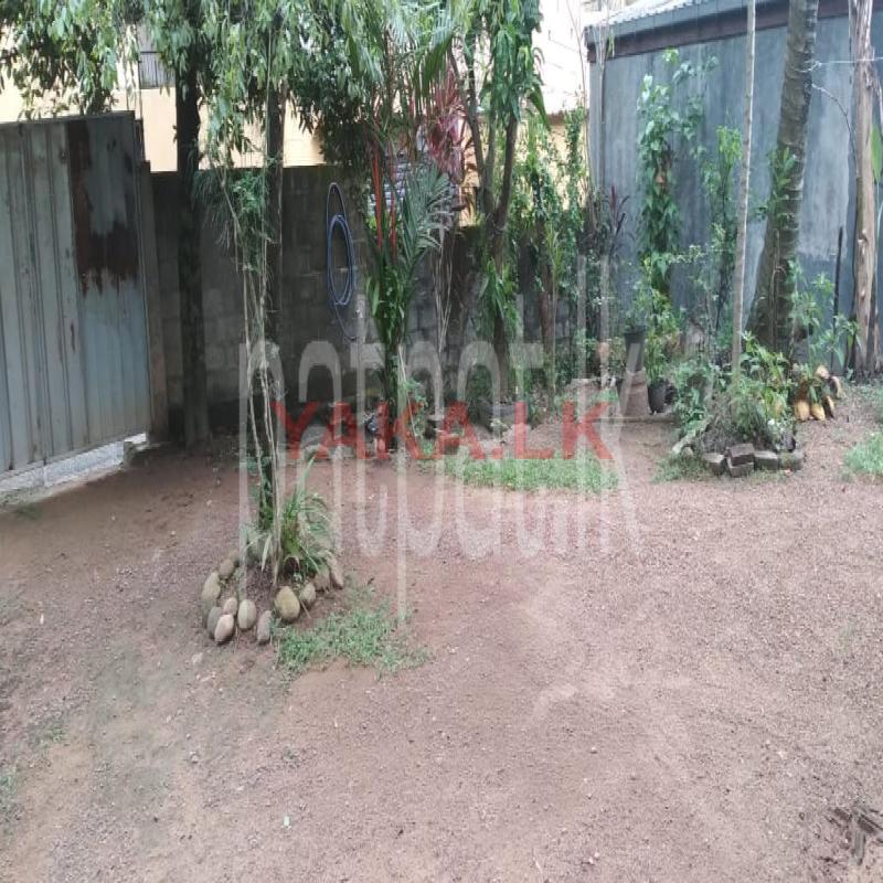 Land with House For Sale
