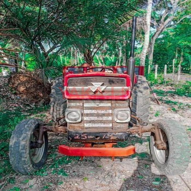 Massey Ferguson 135 2000
