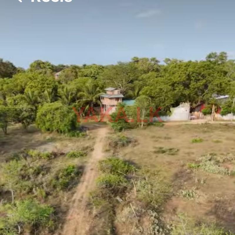 Land for sale katharagama