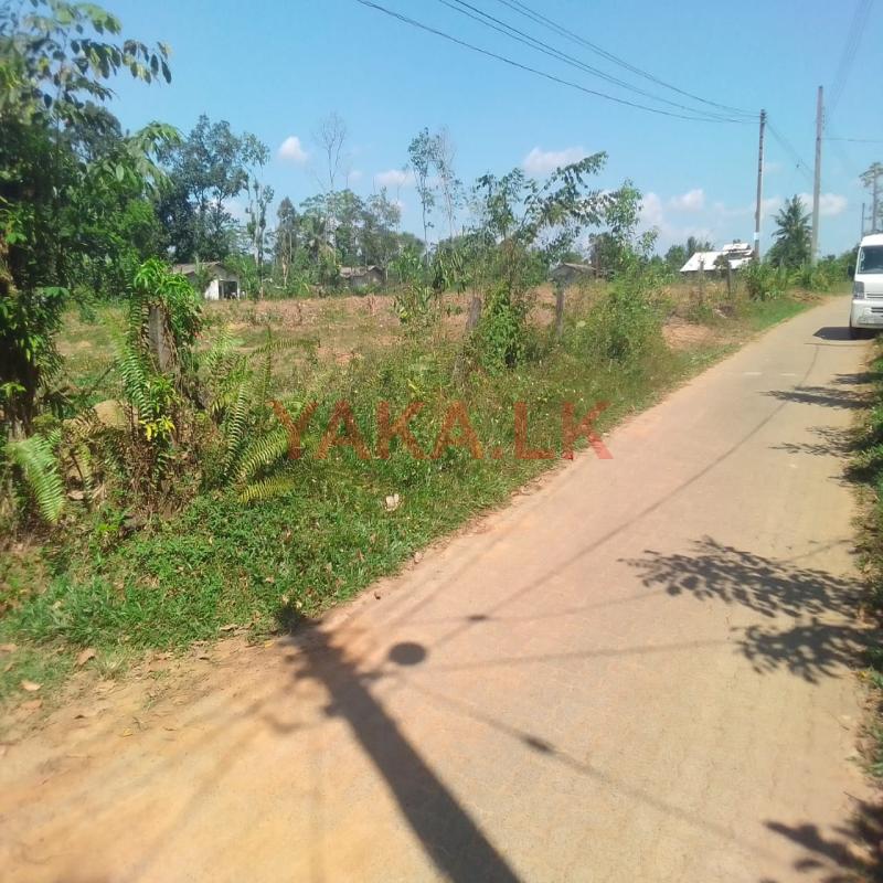 Land for Sale – Ballapitiya, Horana (Kalutara Road)