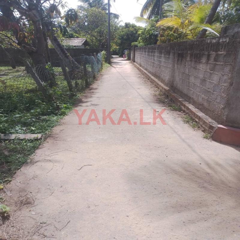Negombo Land for sale